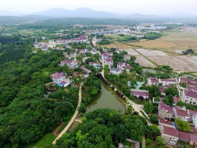 植綠不止，春山可望！馬鞍山市這個縣扛起高質量發展“綠色擔當”