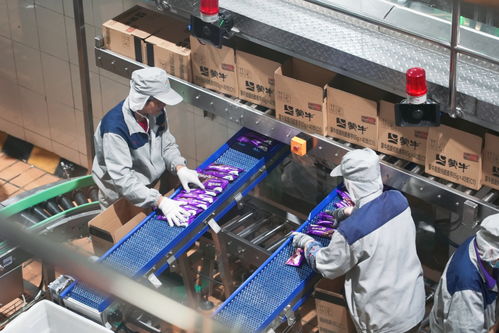 蒙牛乳業(yè)攜手馬鞍山，驅(qū)動(dòng)綠色食品產(chǎn)業(yè)邁向新征程